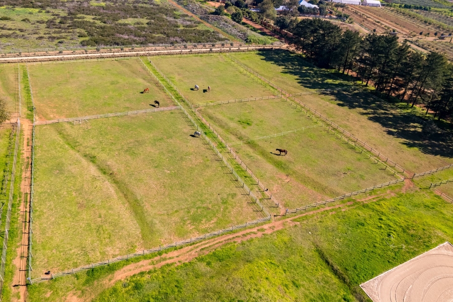 5 Bedroom Property for Sale in Stellenbosch Farms Western Cape